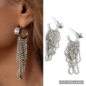 🐾 Ceaseless Chic 🐾